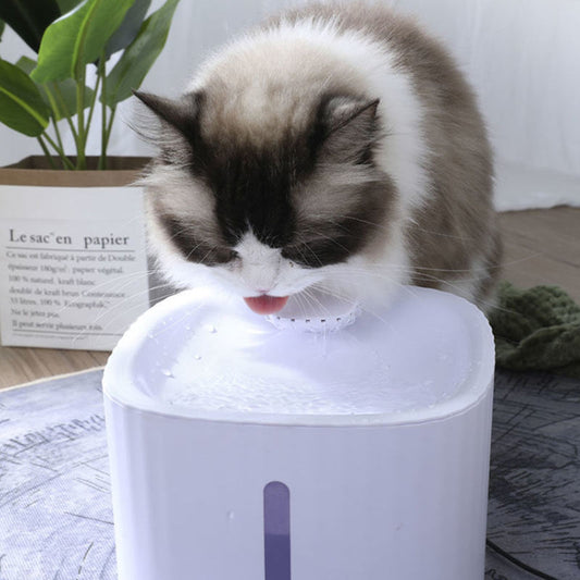 Fontaine à eau filtrante bien-être pour vos compagnons
