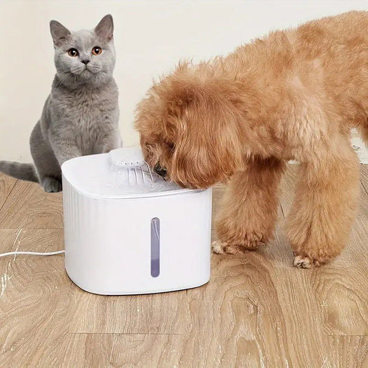 Fontaine à eau filtrante bien-être pour vos compagnons